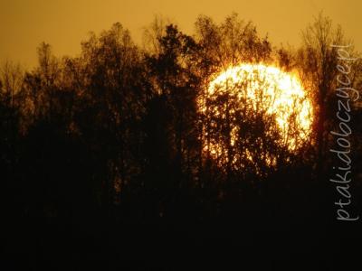 wschod640.jpg